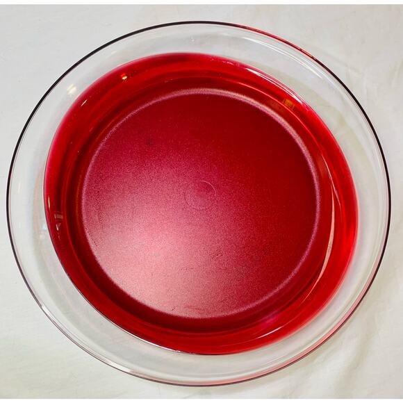 Tupperware Sheerly Elegant Red Round Platter Ruby Seal Clear 10" Serving Plate - Picture 7 of 11